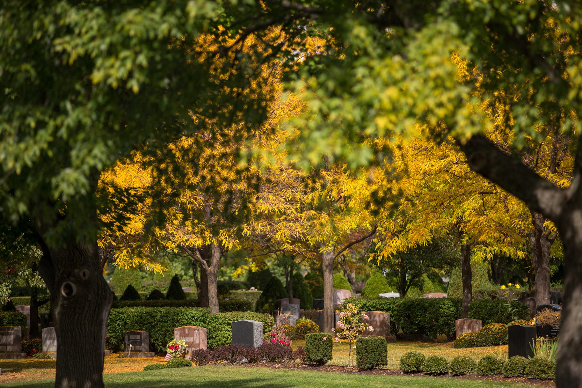 Burial Options Woodlawn Cemetery